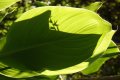 img_3532 1280x755